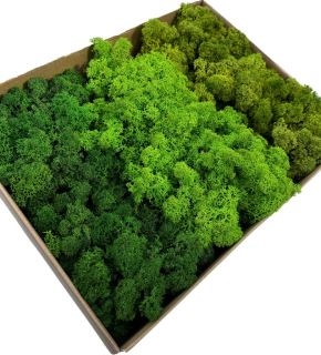 Dekoratívny mach - Dekoračný mach v kartónovej krabici 300g 8 x 35cm
